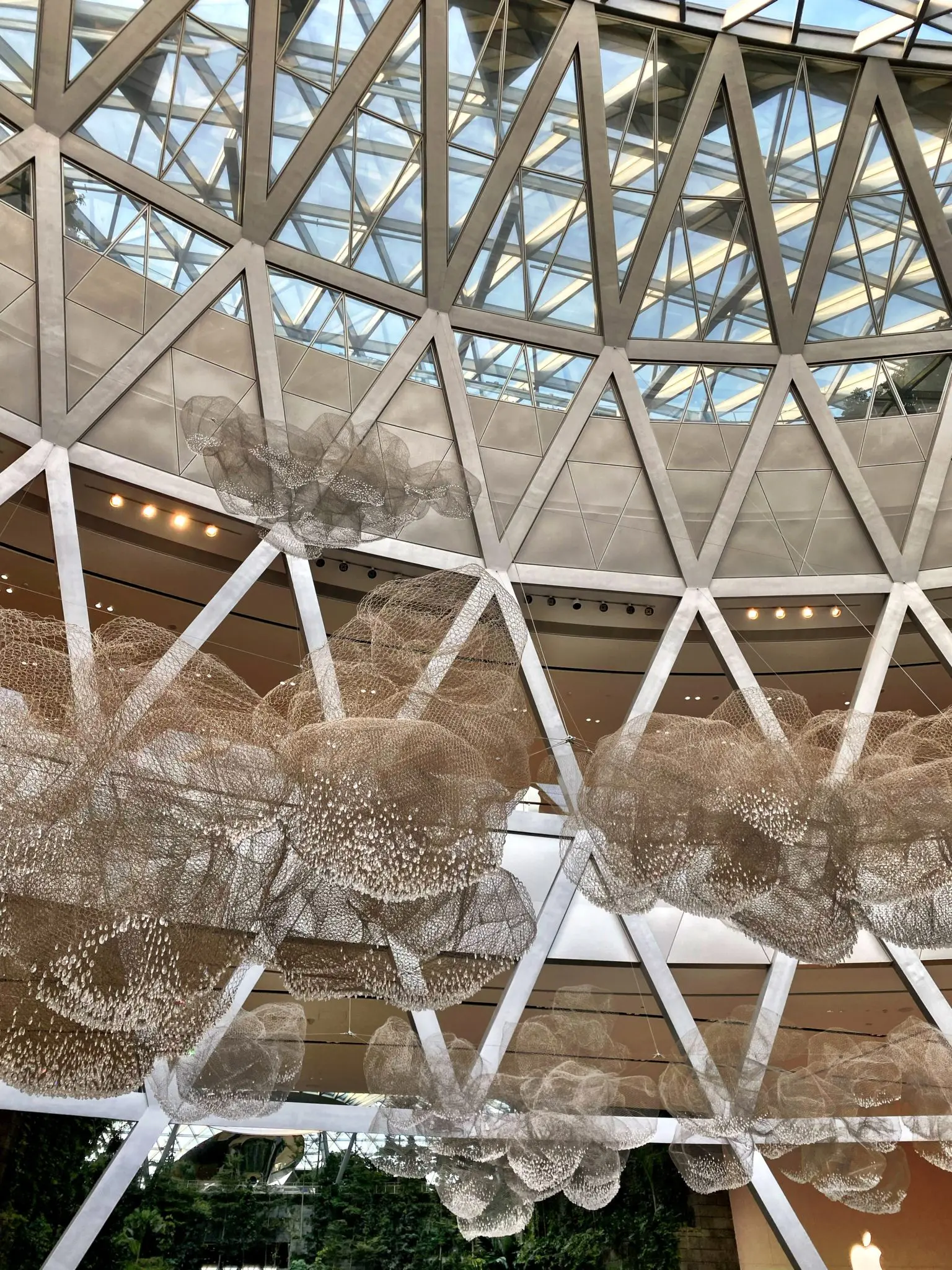 Futuristic architecture at Singapore's Changi Airport