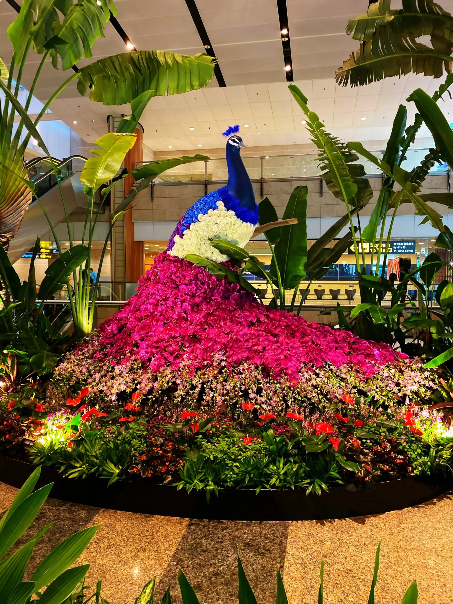 Singapore's Changi Airport features spectacular gardens.