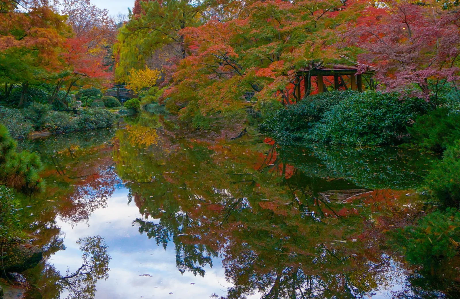 Come out to the Japanese Fall Festival at Fort Worth Botanical Garden.