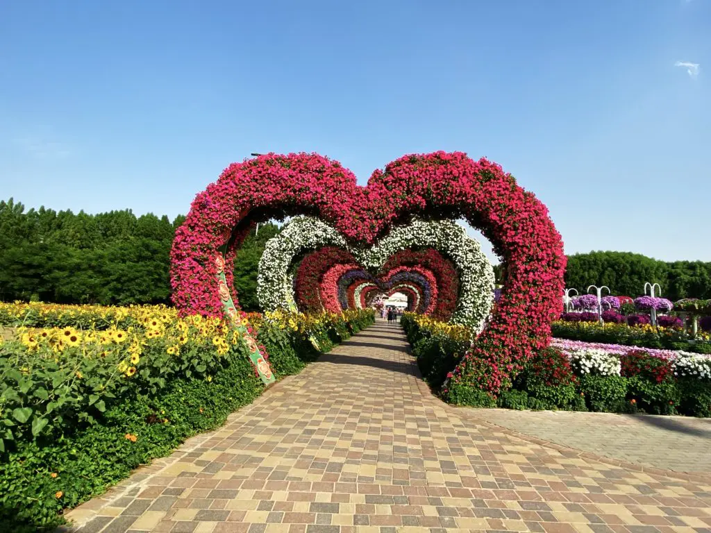 Dubai’s Miracle Garden 