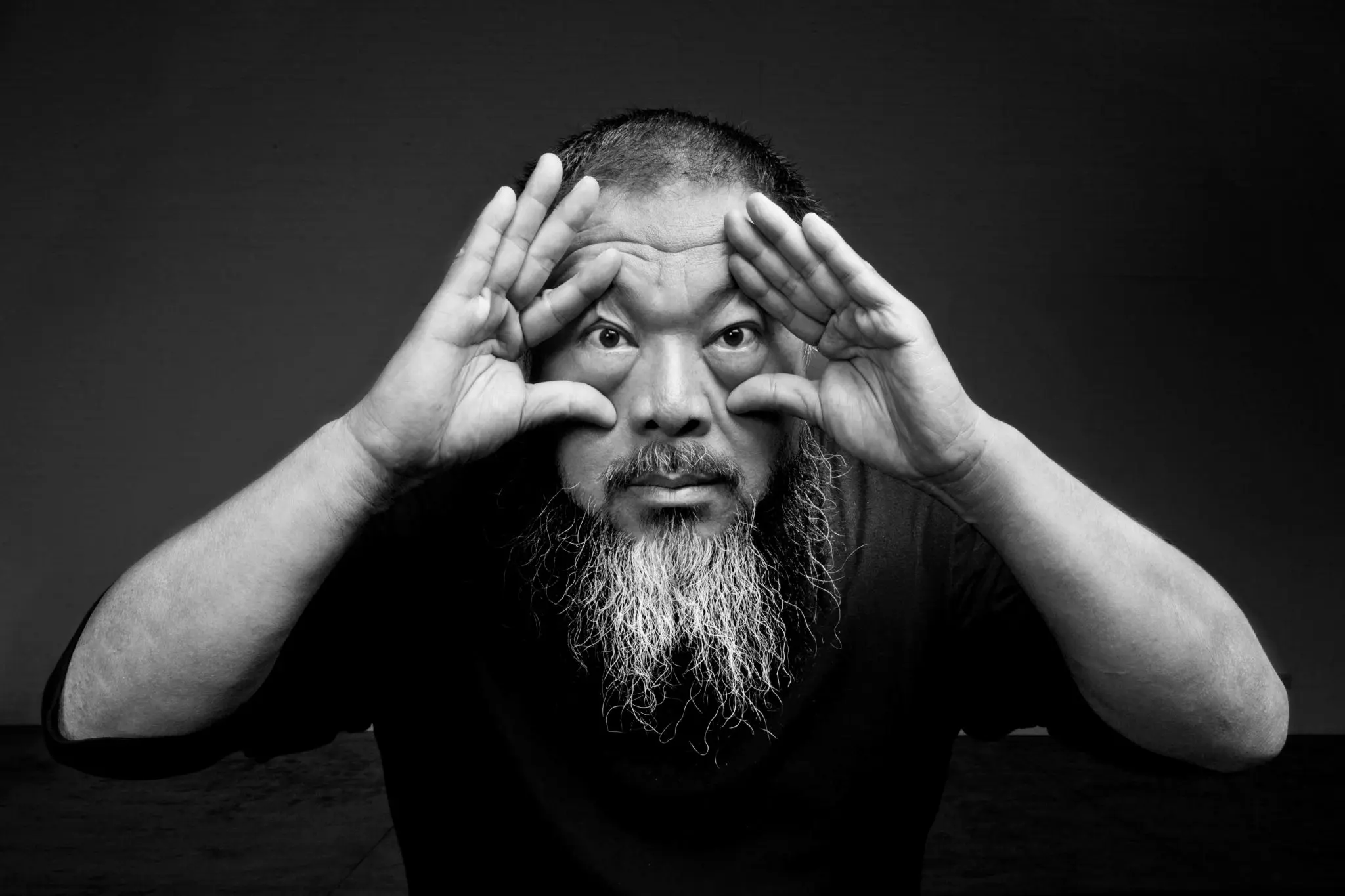 Ai Weiwei is one of seven international artists commissioned for the MFAH  Sarofim Campus' Nancy and Rich Kinder Building. (Courtesy Ai Weiwei Studio)