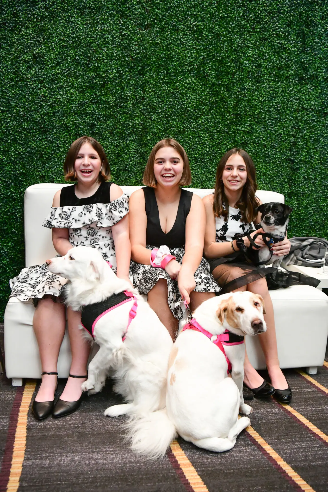 Delaney, Reagan and Rilley Bond with Hazel, June and Speedy (Photo by Daniel Ortiz)