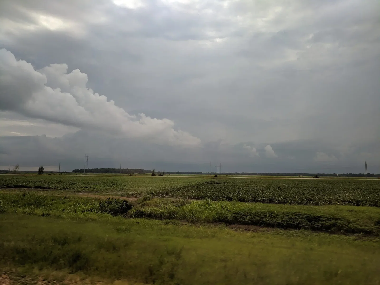 Connecting with land and sky on the way to Clarksdale, Mississippi. (Photo by Ariane Roesch and Zak Miano)