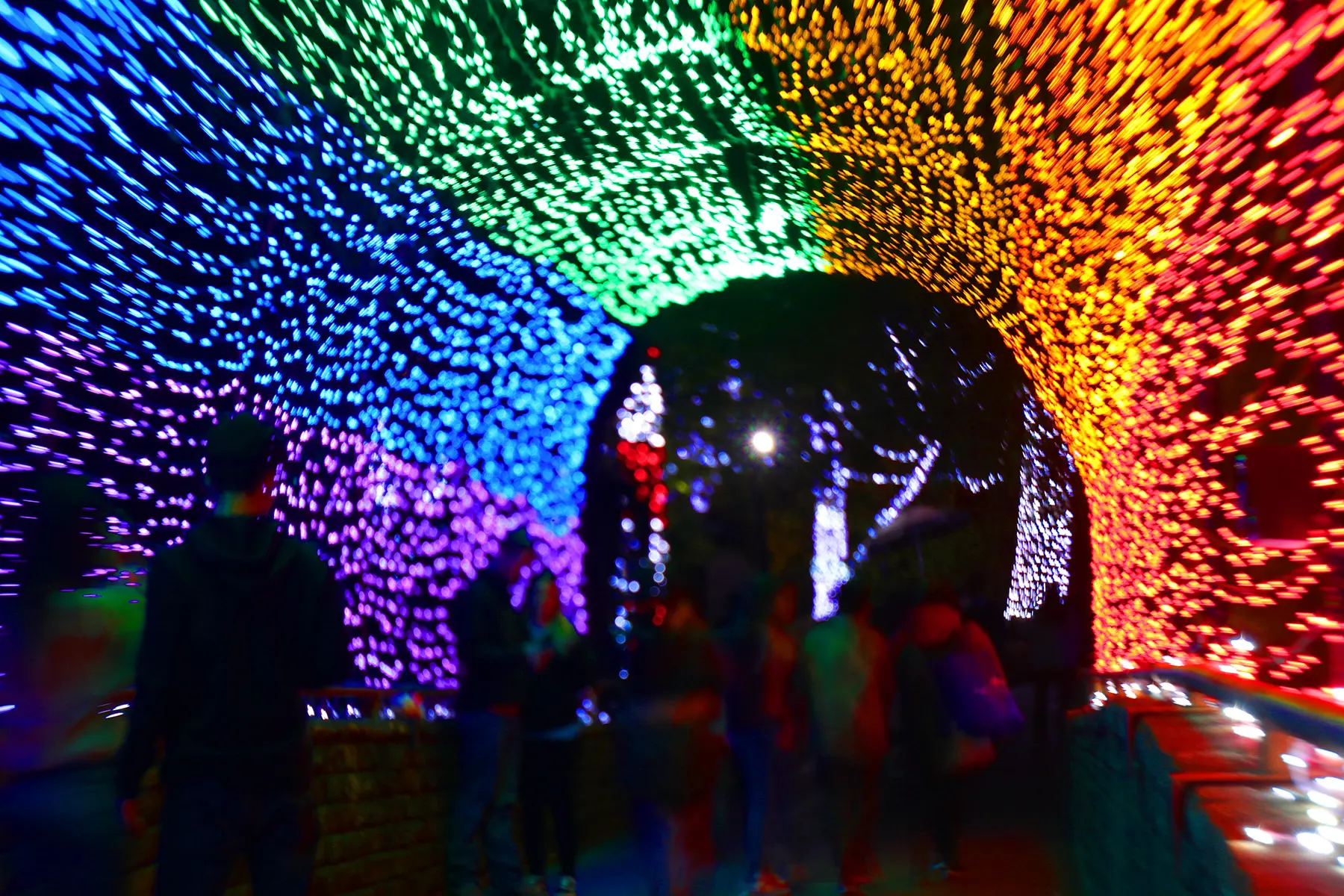 Dallas Zoo Lights