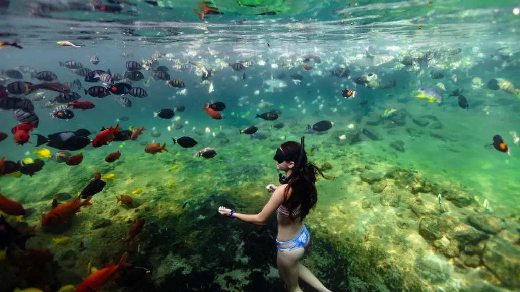 Guests can snorkel in the King's Pond at the Four Seasons and see over 4,000 species of marine wildlife. (Photo by Hualalai Resort)