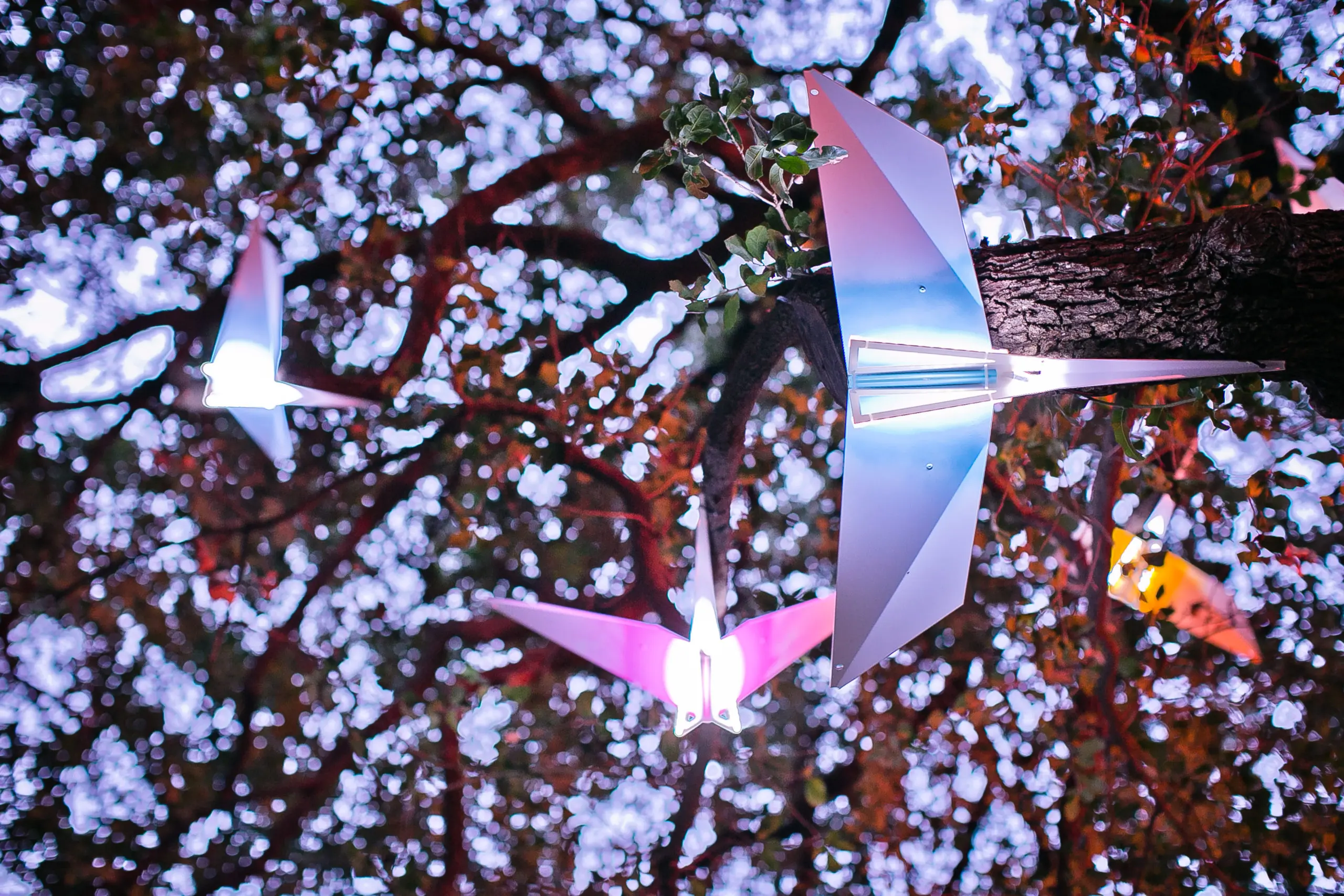 The aluminum birds will remind viewers of childhood creations. (Photo by Morris Malakoff, The CKP Group)