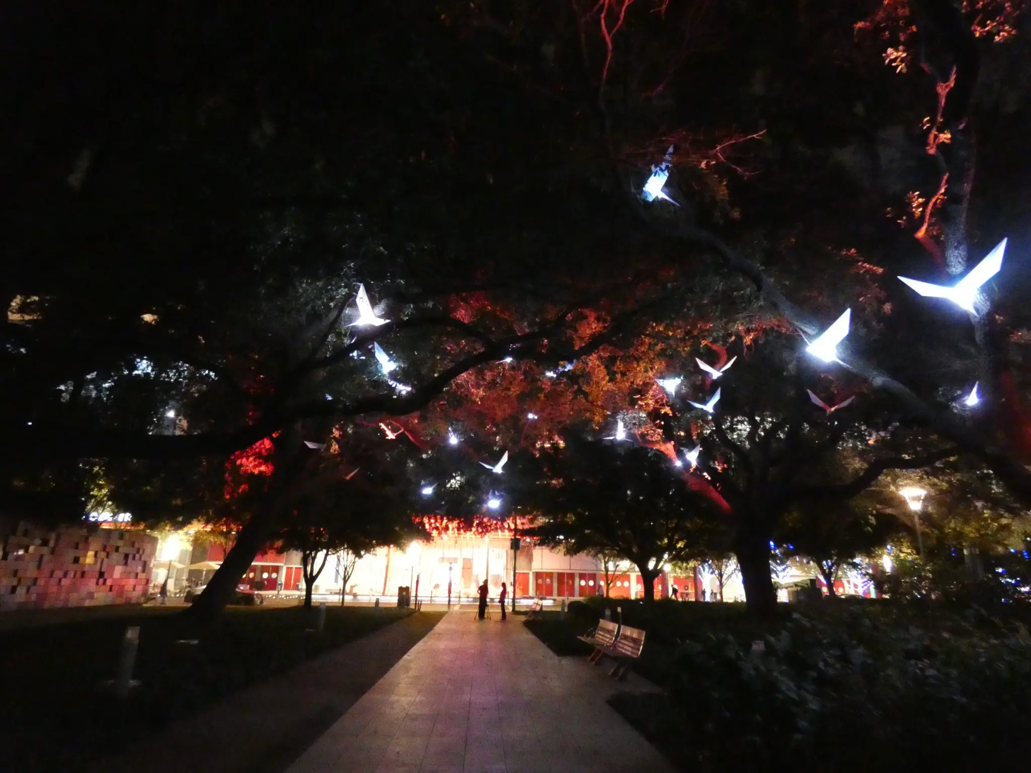 Here and Now brings the music of birds to a walk through Paloma. (Photo by Tarra Gaines)