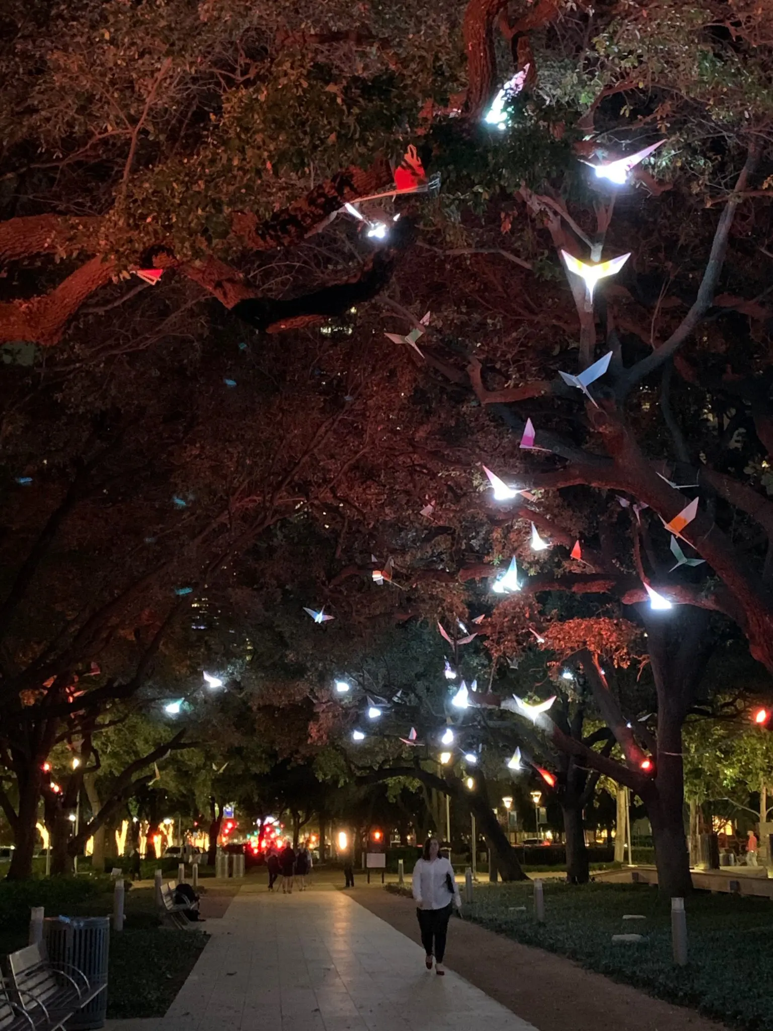 At night, the birds seem to soar through the trees. (Photo by Tarra Gaines)