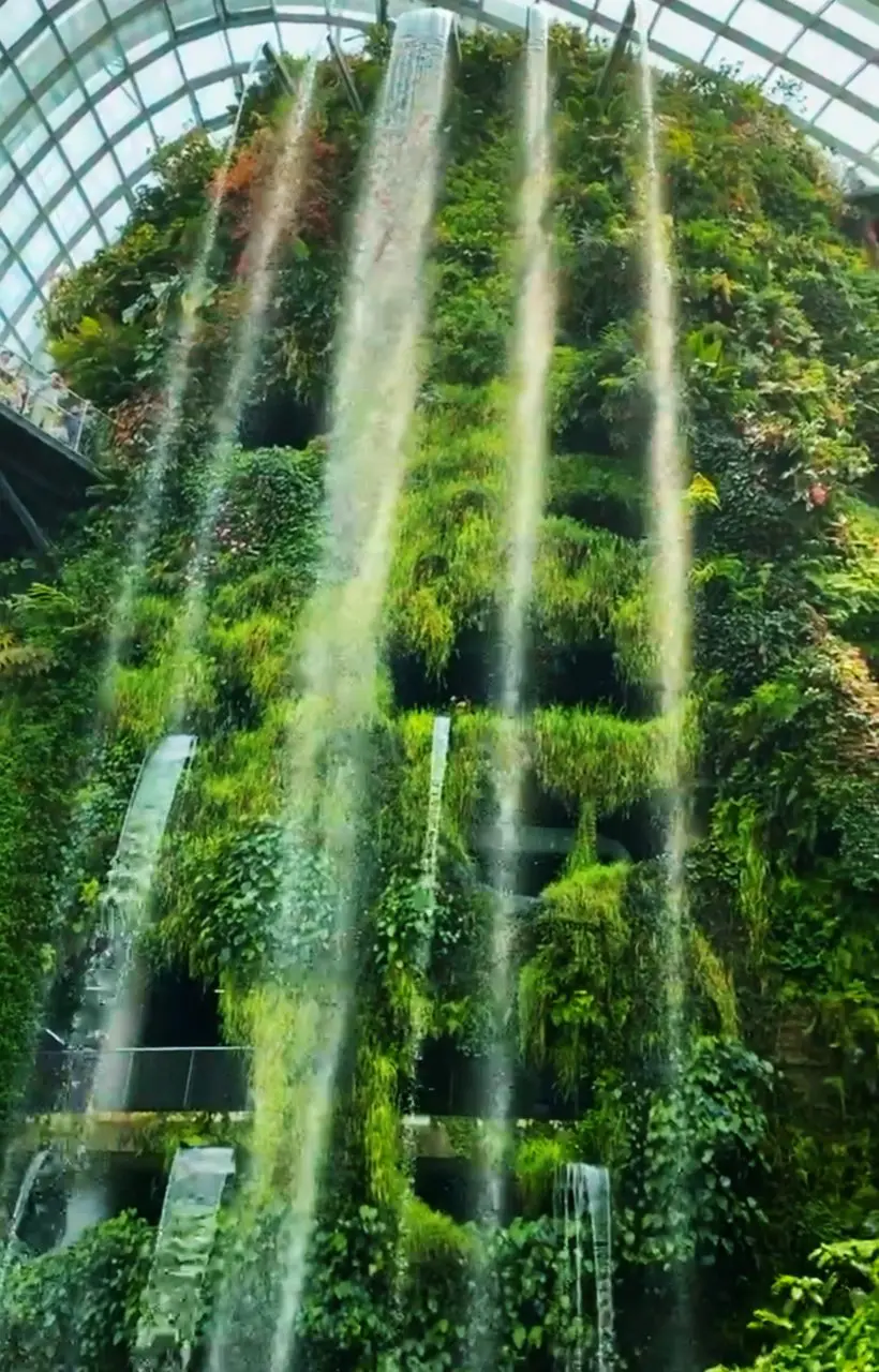 Gardens by the Bay, one of Singapore’s top tourist attractions features the Cloud Forest, with  the world’s tallest indoor waterfall greenhouse  (Photo by Jane Howze)