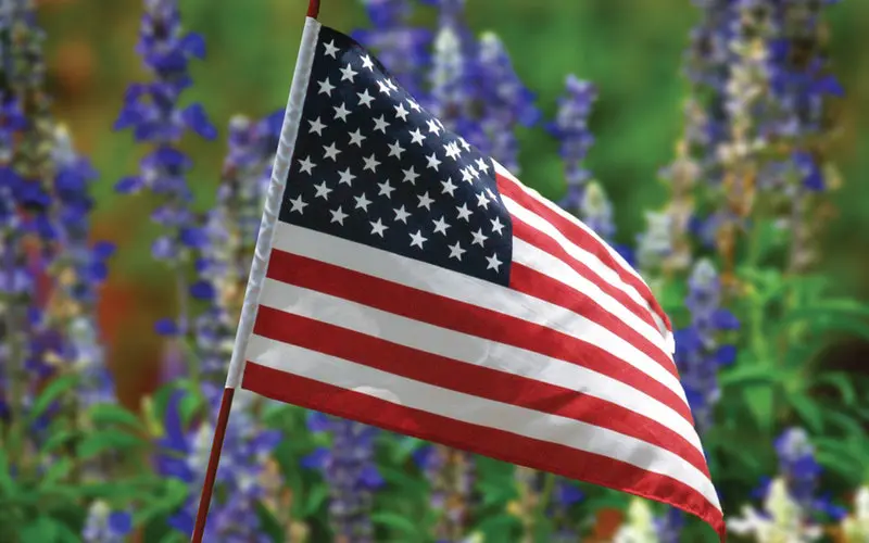 Veterans-Day-Flag