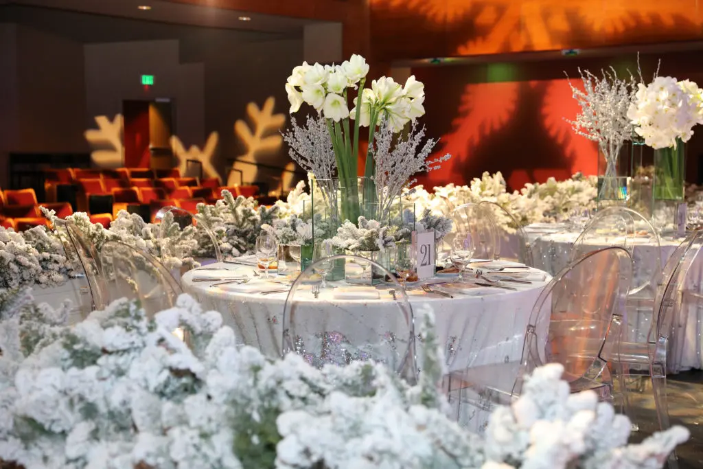 Children's Memorial Hermann Behind the Curtain at the Hobby Center for the Performing Arts (Photo by Priscilla Dickson)