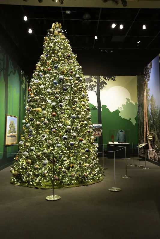 The 2007 Christmas tree boasts hand-painted ornaments decorated by representatives from the country's national parks and historic sites.