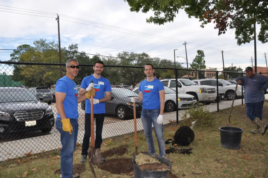 Chevron volunteers get digging. (Photo by Trees for Houston)