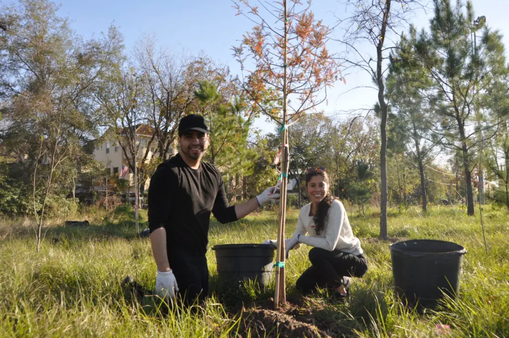 Trees for Houston Fights to Keep the City’s Green Canopy Alive