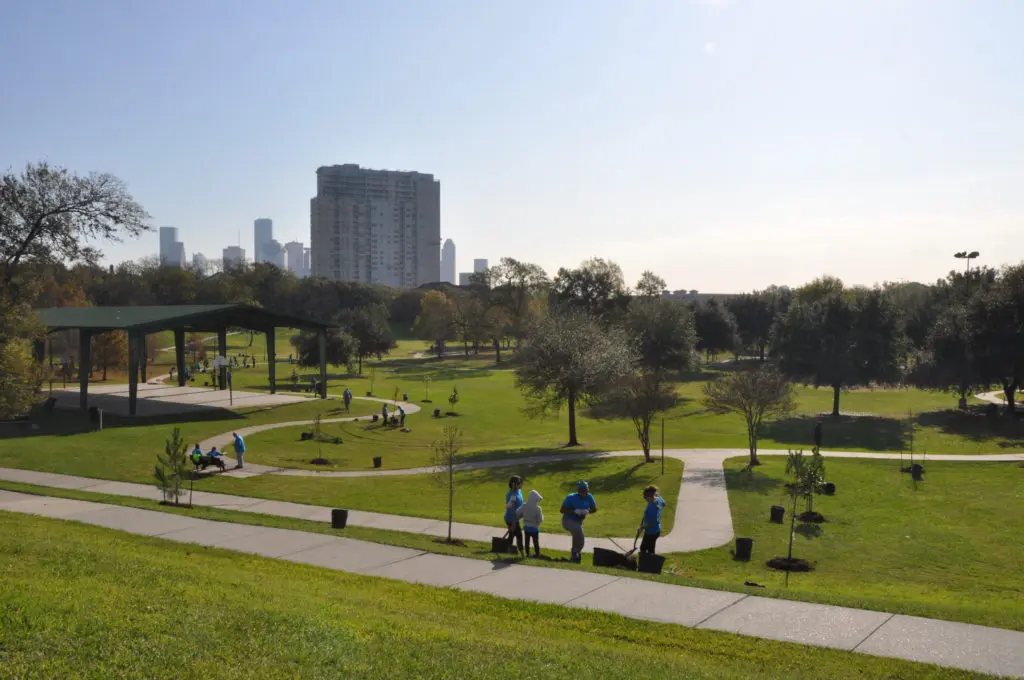 Volunteers planting in Buffalo Bayou Park. (Photo by Trees for Houston)