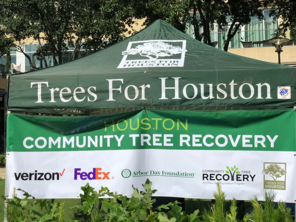Since its founding in 1983 Trees for Houston has planted close to 600,000 trees across the Greater Houston area. (Photo by Trees for Houston)