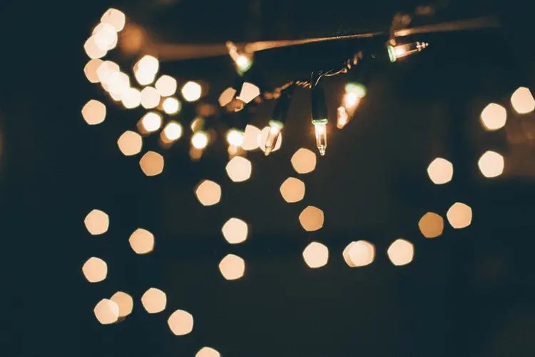Take a stroll through historic Woodland Heights for its annual Lights in the Heights event.