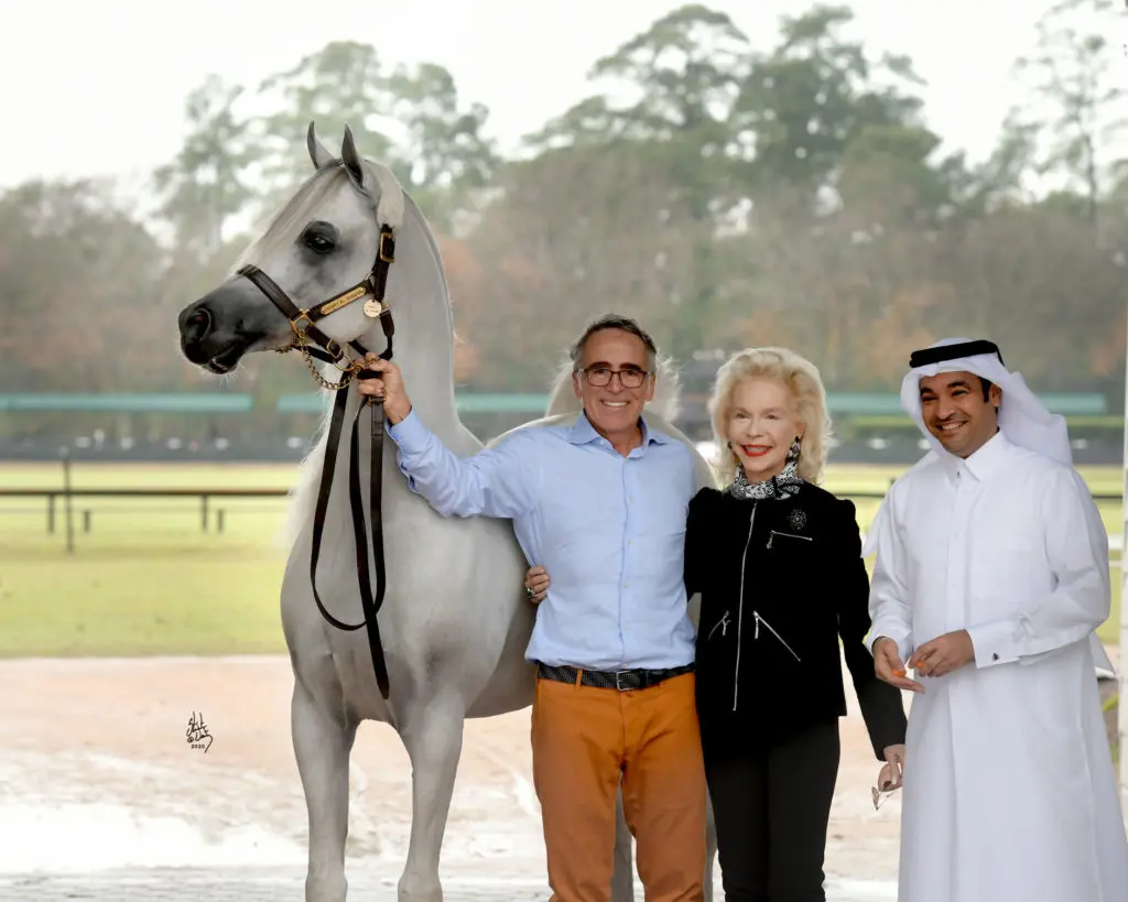 Three-time Platinum World Champion Arabian Hariry Al Shaqab poses at Houston Polo Club with his breeder/trainer Michael Byatt, Lynn Wyatt and Qatar Consul General Rashid Al-Dehaimi. (Photo by Stuart Vesty)