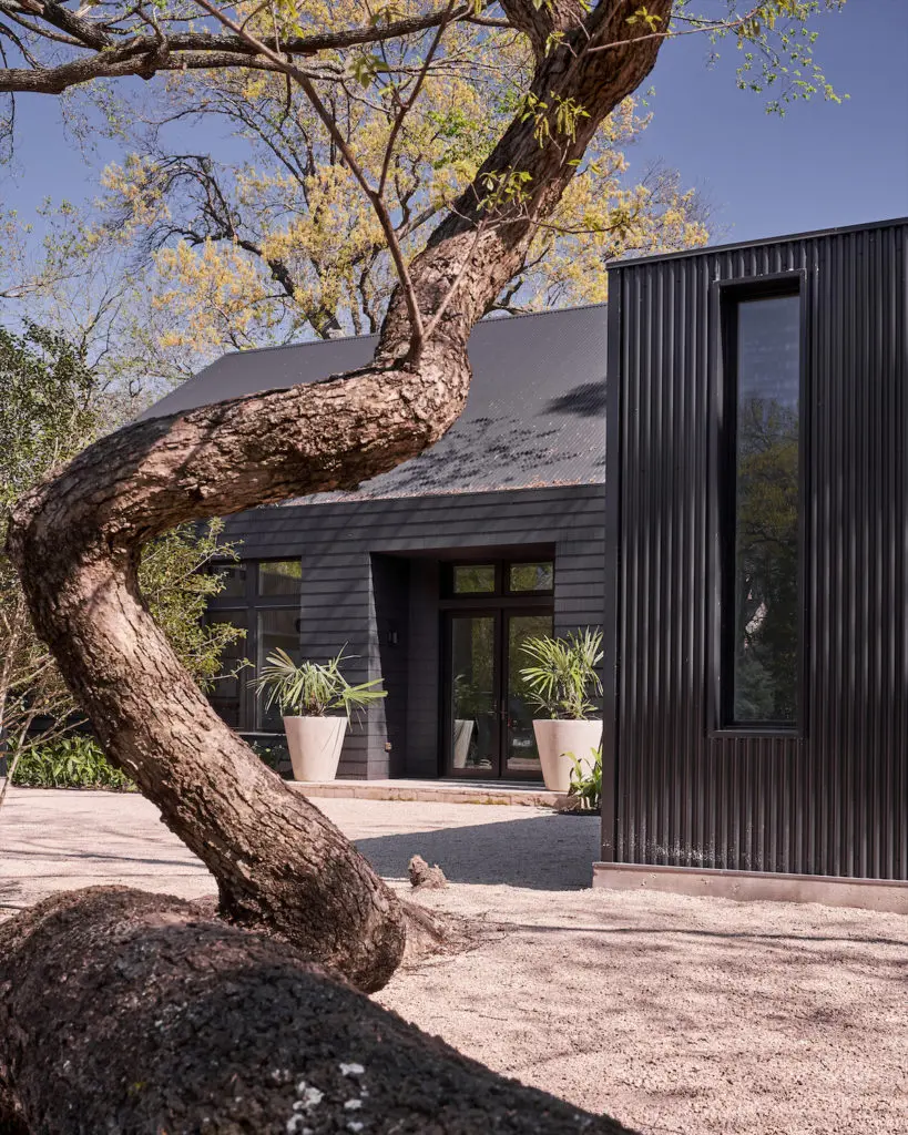 The sculptural tree is part of the original wild overgrowth he maintained to enhance the surf-shack feel. (Photo by Stephen Karlisch)