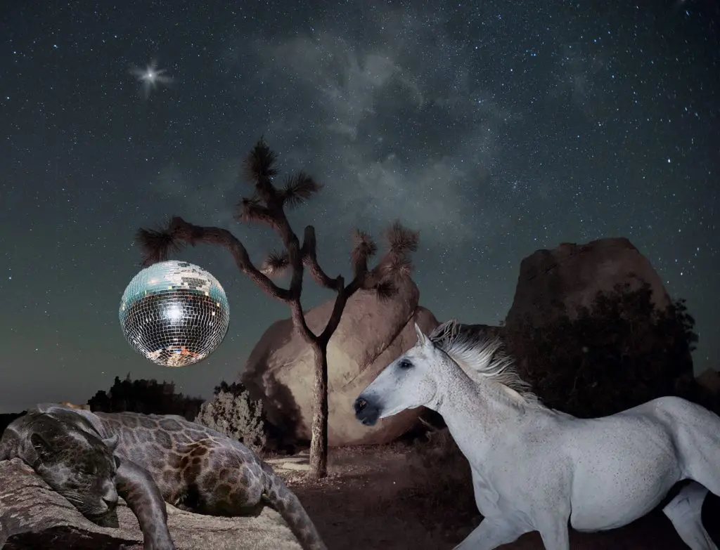 “Midnight in the Mohave" is the inspiration for Scott Studenberg's Baja East collection. (Courtesy of Baja East)

 