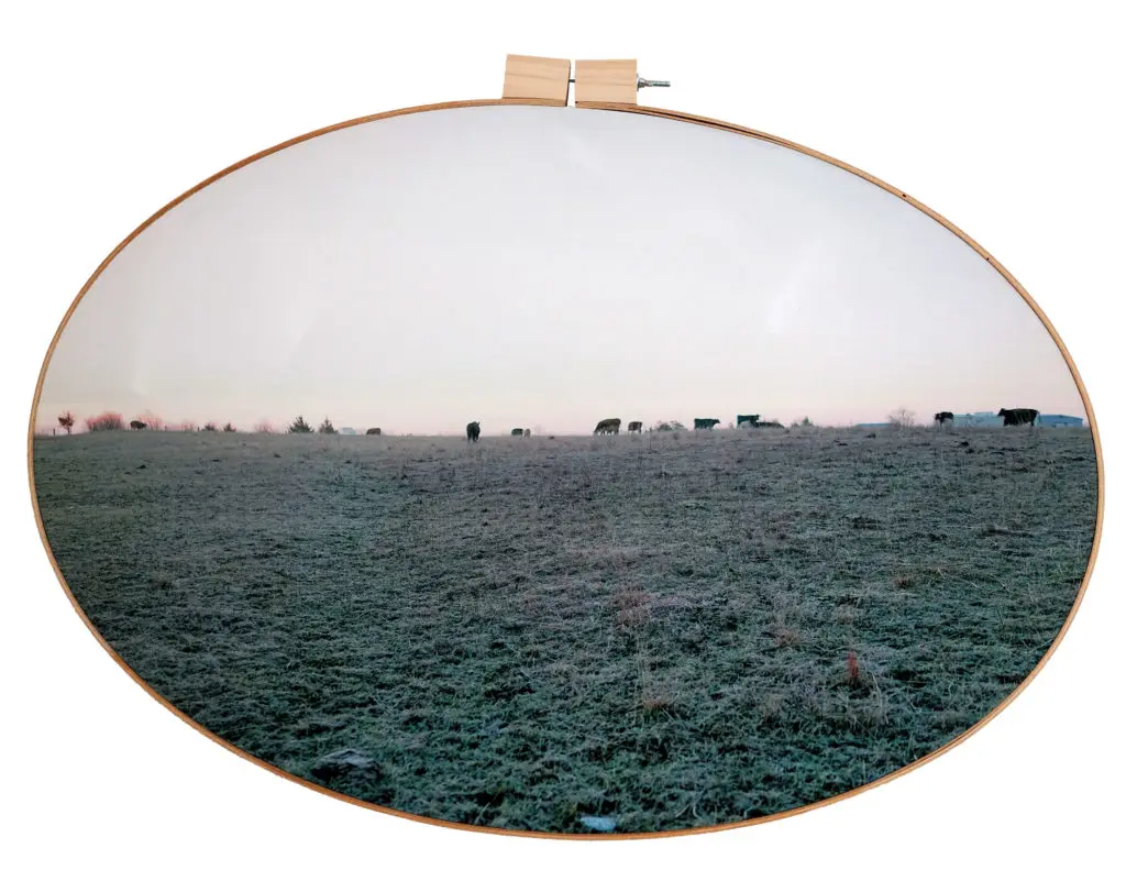Letitia Huckaby's "Cattle on a Thousand Hills," 2019. The Fort Worth-based artist will be Foto Relevance's headliner timed to FotoFest at the gallery's new 4411 Montrose space. 