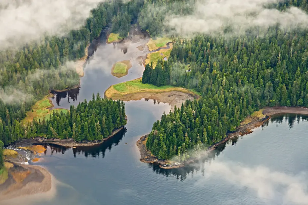 Alaska's Tongass National Forest (Photo by Lee Prince, Shutterstock)