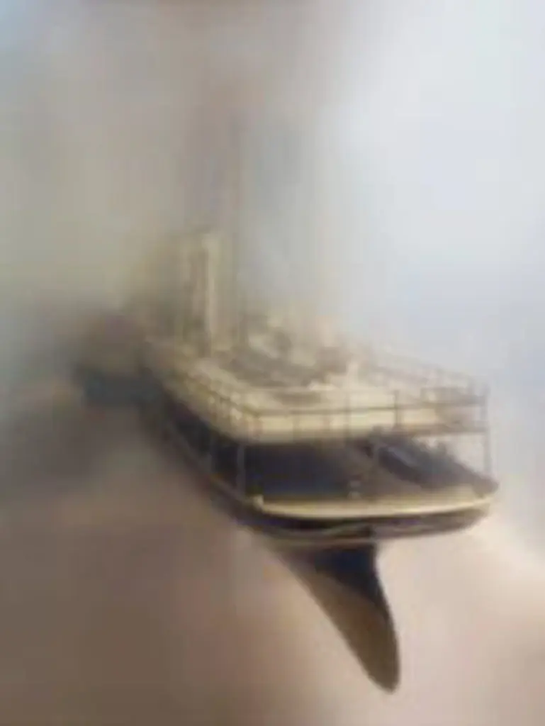 Anderson & Low's "Untitled," (2017, printed 2019), from the series "Voyages"