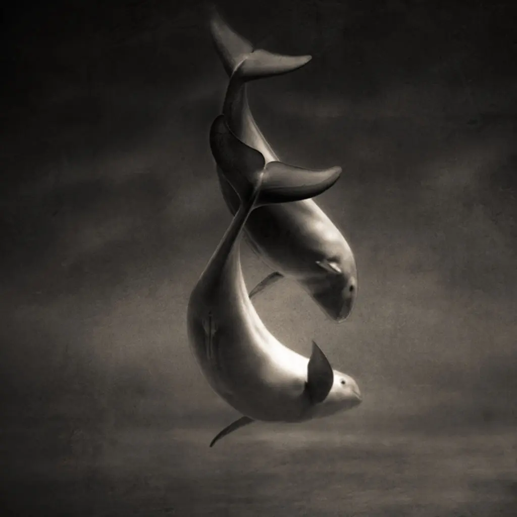Keith Carter's "Only a Little Planet," 2019