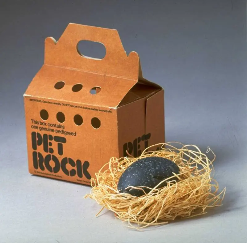 Product shot of a Pet Rock, displayed with its own carrying case.  (Photo by Al Freni/The LIFE Images Collection/Getty Images)