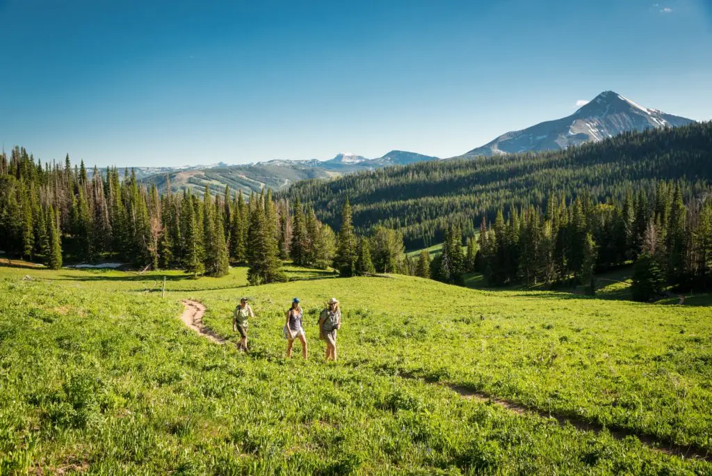 After long weeks of quarantine, a romp through the hiking trails of Big Sky Montana is just what the doctor ordered. 