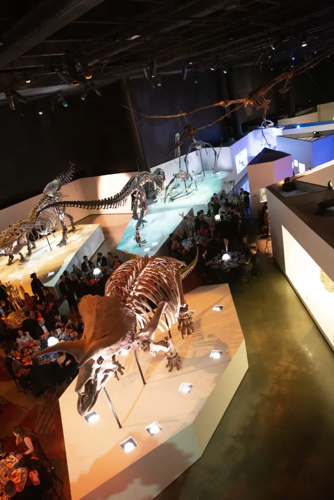 Dining with the dinosaurs in the HMNS Hall of Paleontology  (Photo by Jenny Antill Clifton)