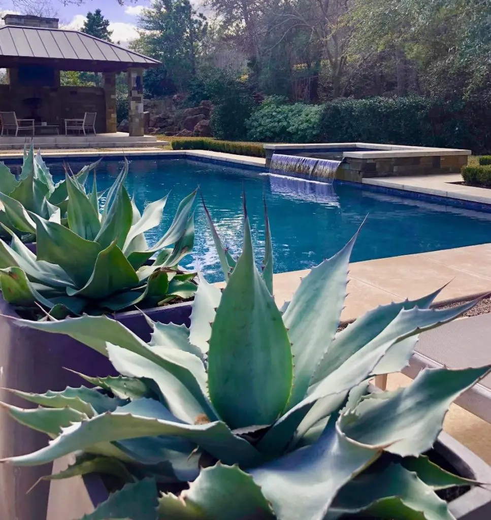 Modern and minimal gardens surround a pool.