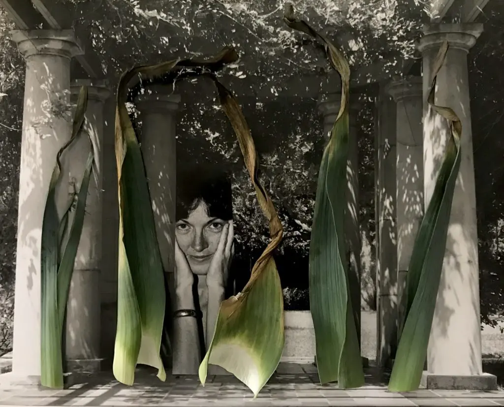 Mary Margaret Hansen's “Perplexed by Leeks”, 2020, 16 x 20 inch collage, silver gelatin print, leek stems. This artwork testifies to Hansen's productivity during hibernation, while she prepares for an upcoming show at Heidi Vaughan Fine Art, Houston.