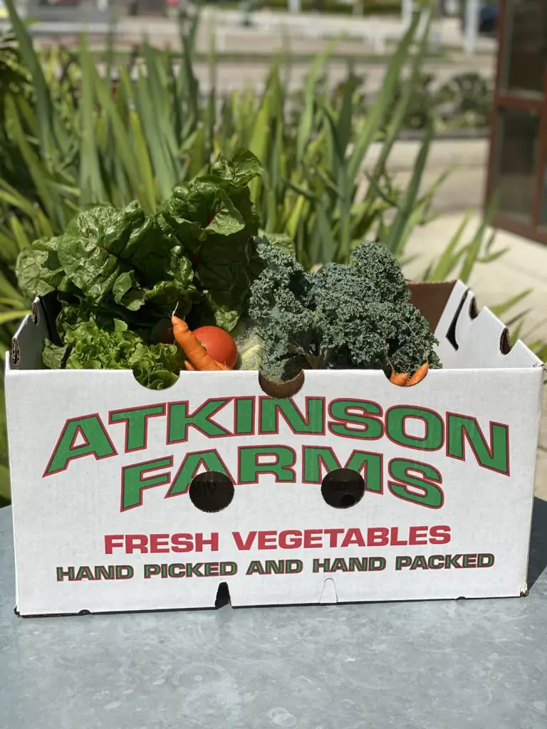 Atkinson Farms and smaller farming operations supply the fresh produce to Dish Society three times a week. (Photo by Courtesy Dish Society)