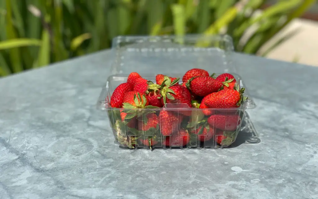 A pound of the freshest Atkinson strawberries is available at Dish Society for $4.99. (Photo by Courtesy Dish Society)