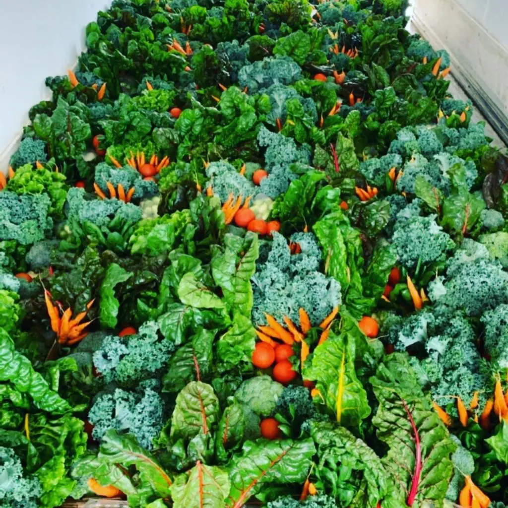 Beautiful produce arrives three times a week at Dish Society cafes. (Photo by Courtesy Dish Society)