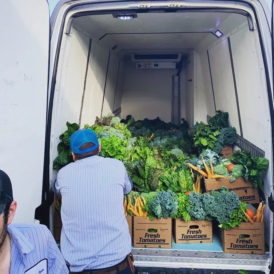 Local farmers make deliveries to Dish Society cafes three times a week. (Photo by Courtesy Dish Society)
