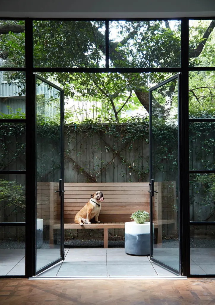 The home was redesigned with the couple's dog, Gator, in mind. (photo by Lisa Petrole) 