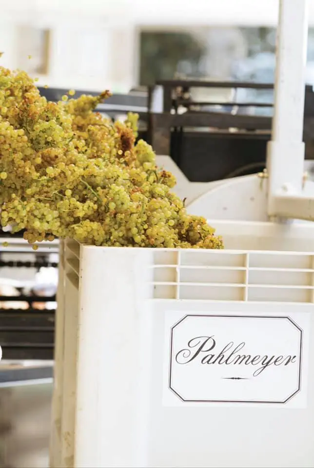 Nosh Bistro will host a socially distanced in-house wine dinner, as well as a virtual wine dinner this Saturday. (Courtesy of Nosh)