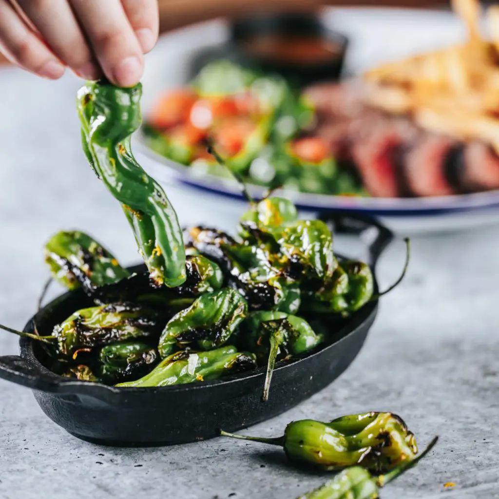 The shishito peppers are one of the best apps at JAXON.