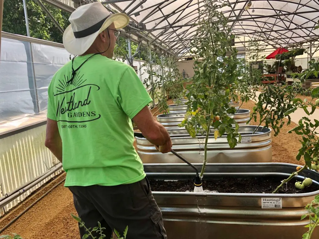 Vertical trough gardens grow Westland peppers and tomatoes. (Photo by Courtney Dabney).