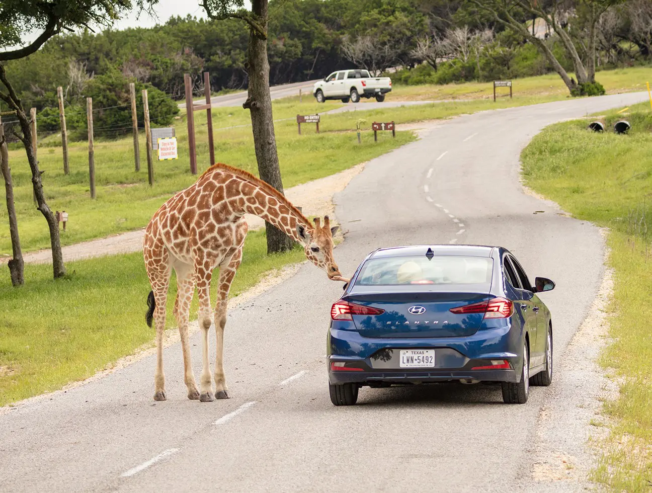 Fossil Rim Glen Rose day trips dallas