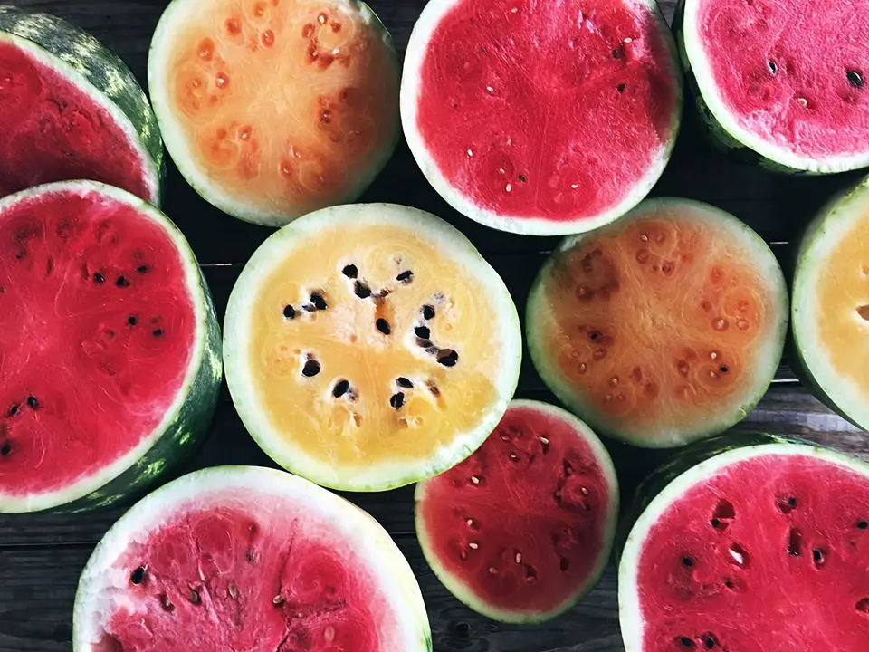 Dallas Farmers Market watermelons