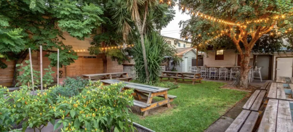 Expect various bar teams to take over the patio at Lucille's in the coming weeks as owner Chris Williams lends a helping hand.