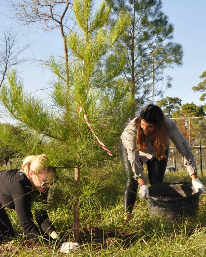 Trees For Houston volunteers helping keep Houston green. (Trees For Houston photo)