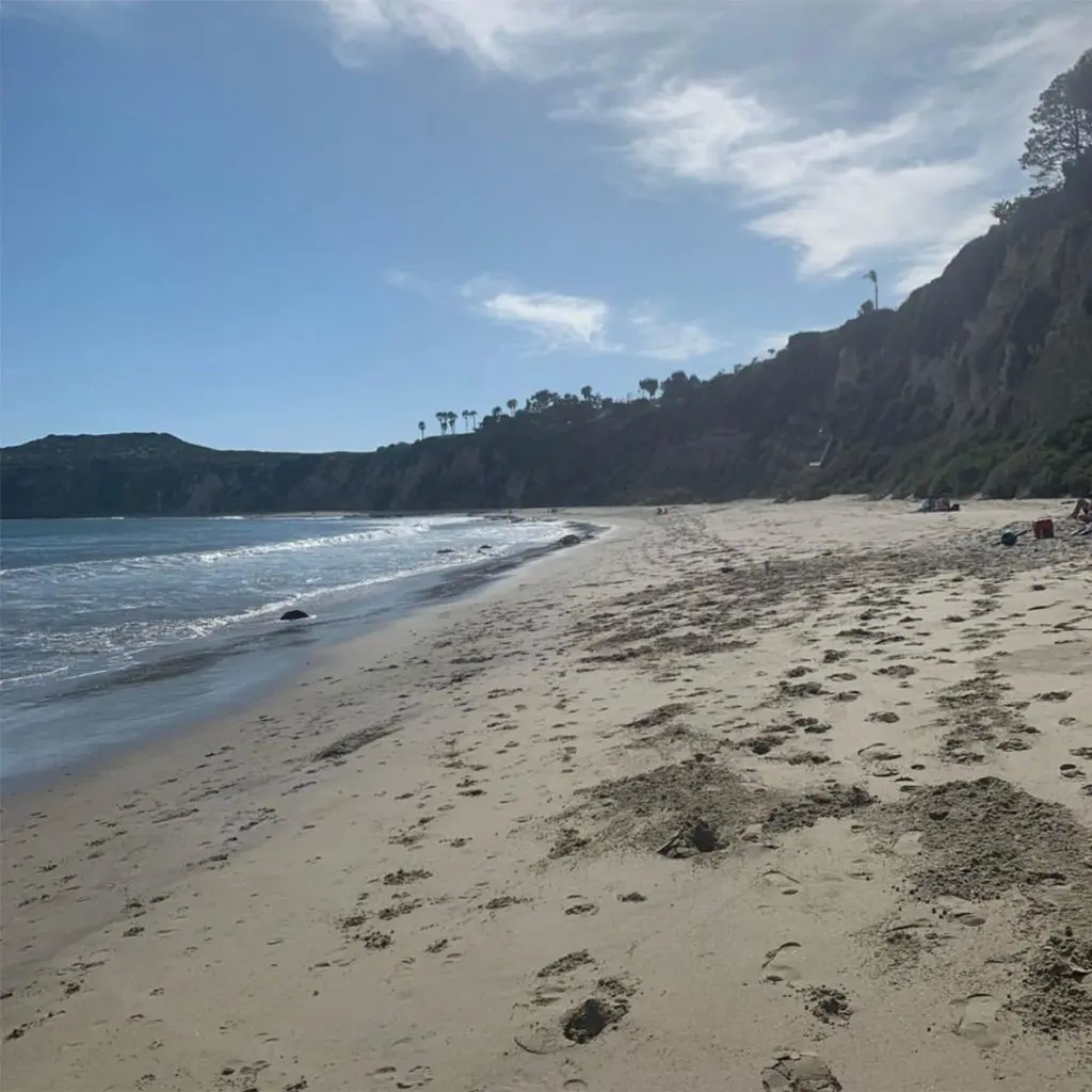 Irene Neuwirth's coastal California inspiration.