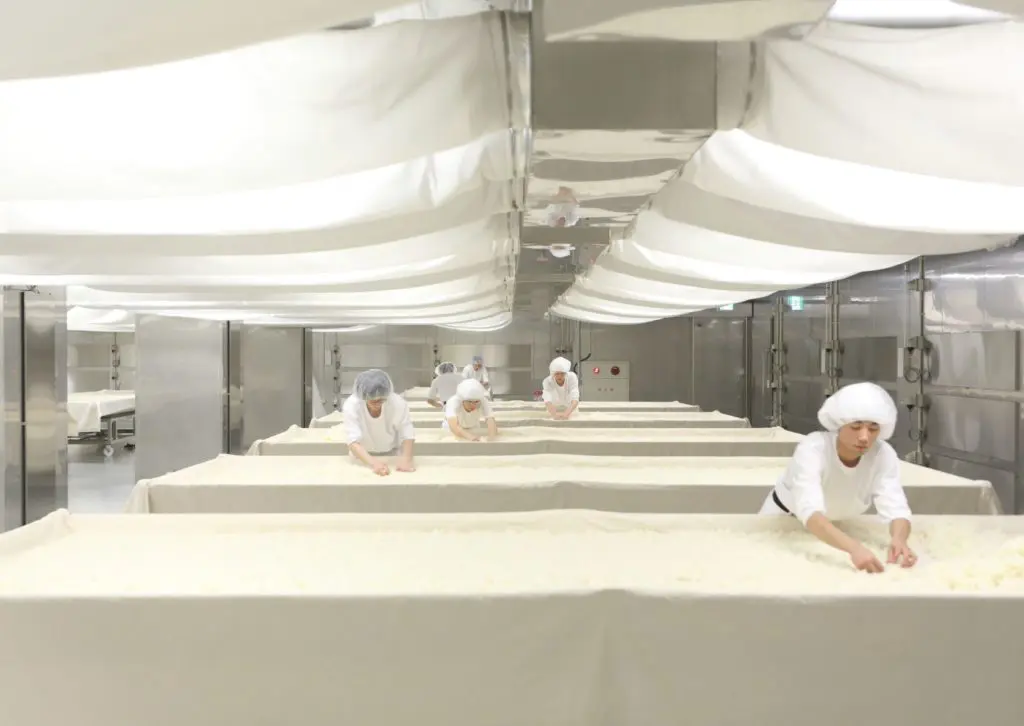 Inside the Dassai koji room (Photo courtesy of Dassai)