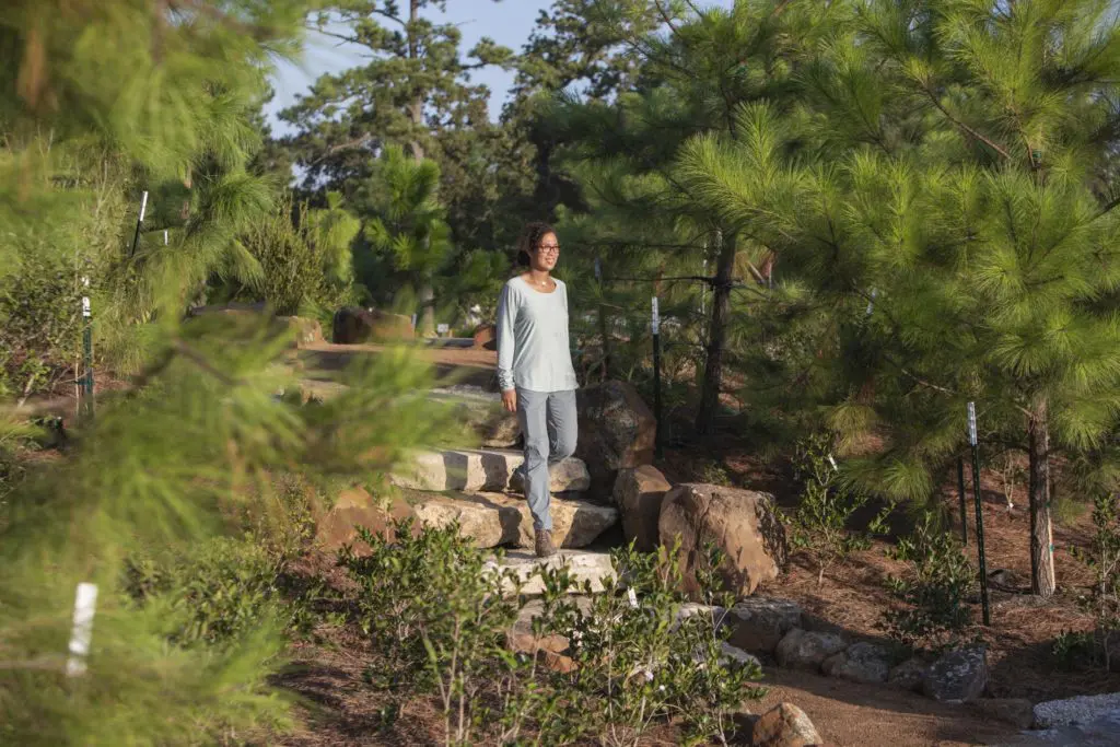A visitor strolls through the Asian Slope in the Global Collection Garden. (Photo by Michael Tims)