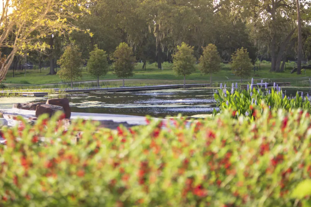 The cypress-lined boardwalk maze in the Susan Garver Family Discovery Garden. (Photo by Michael Tims)