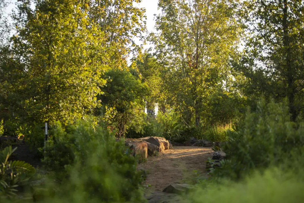 The Upland Forest in the Global Collection Garden at Houston Botanical Garden which opens to the public on Friday. (Photo by Michael Tims)